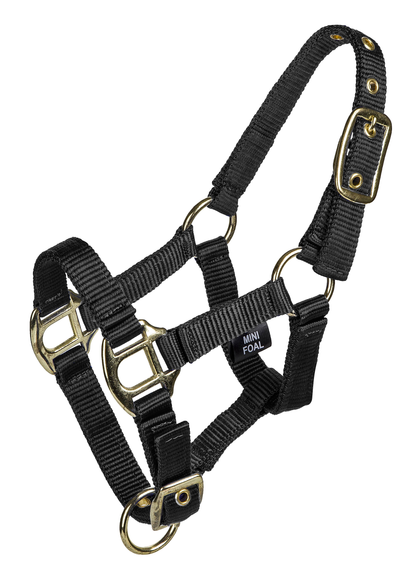 Gatsby 3/4&quot; 2-ply Nylon Mini Halter with Adjustable Chin