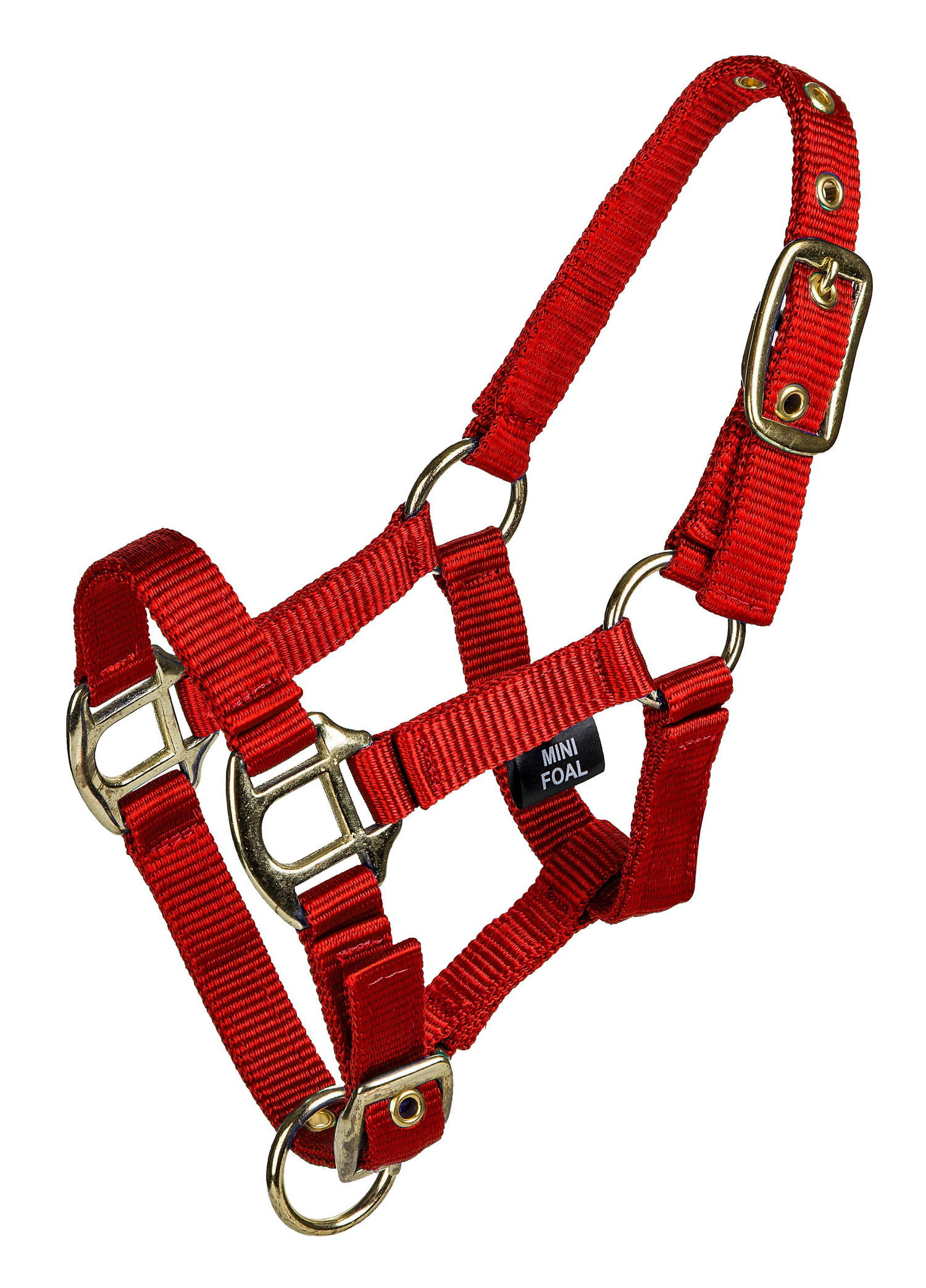 Gatsby 3/4&quot; 2-ply Nylon Mini Halter with Adjustable Chin