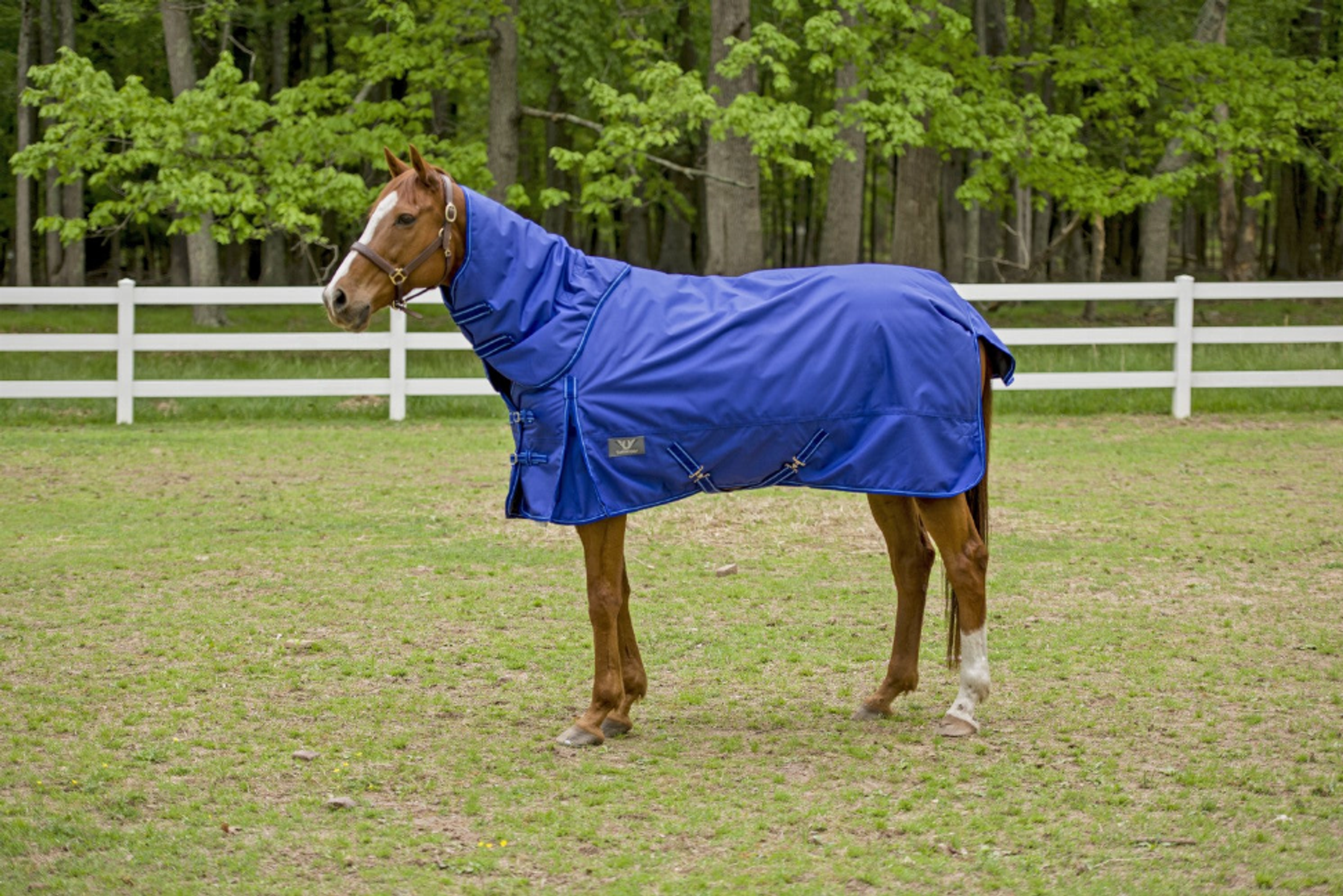 TuffRider 1680 D Super Comfy Detachable Neck Blanket