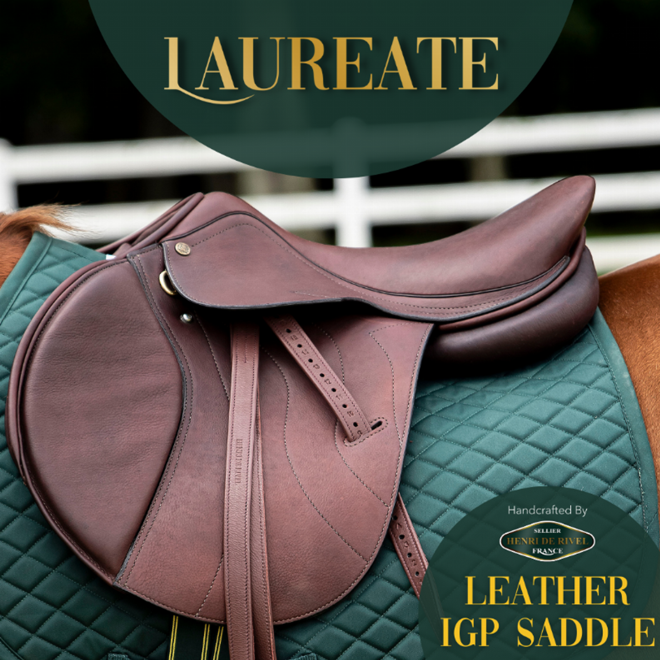 Laureate Leather IGP Saddle