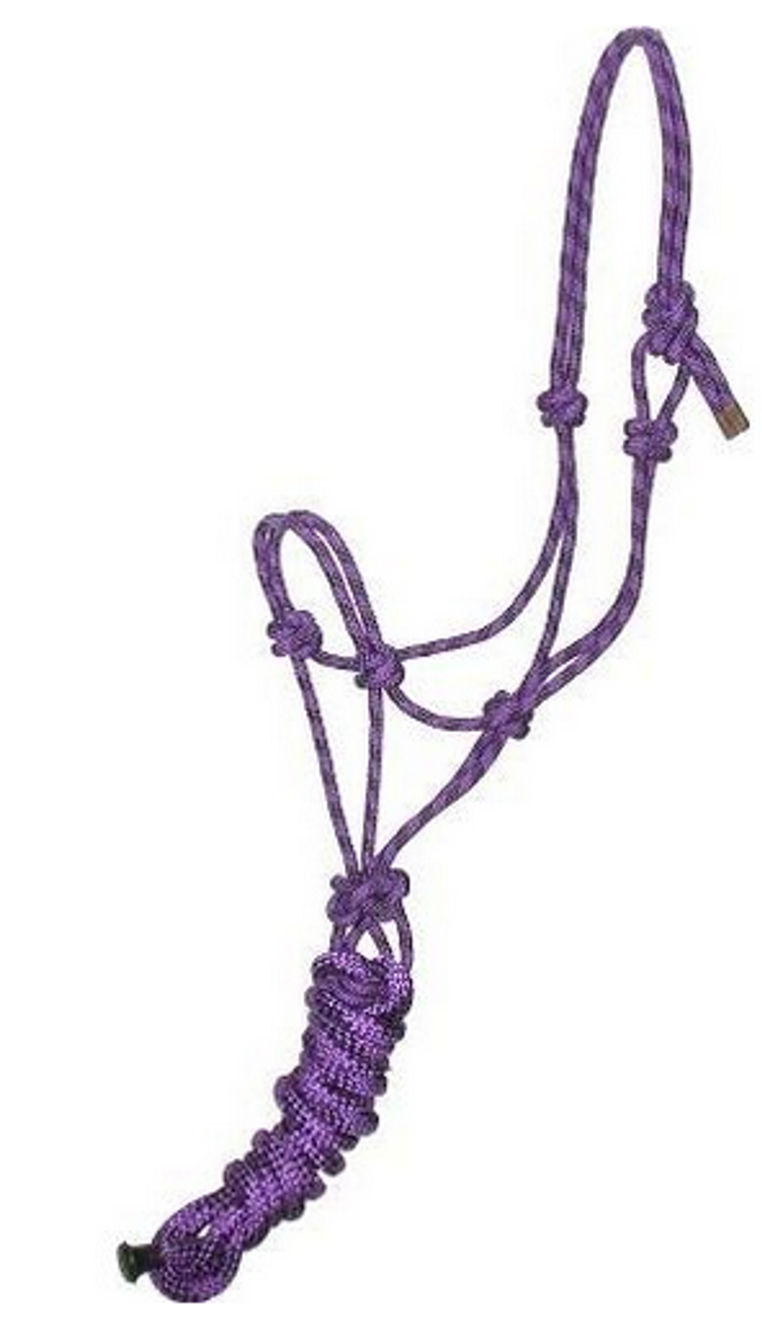 Gatsby Professional Cowboy Halter With Lead