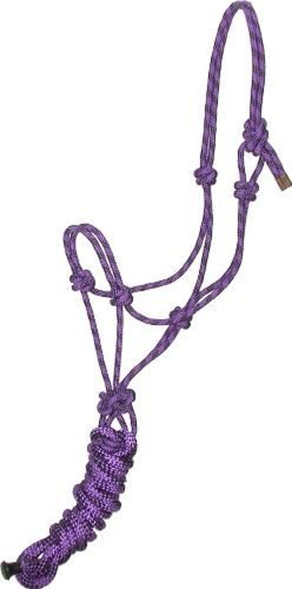 Gatsby Professional Cowboy Halter With Lead